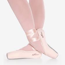 Pointe shoe cover